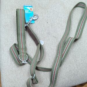 Vibrant Reflective Dog Leash New